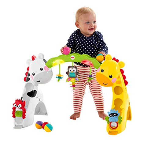 Fisher-Price - Gimnasio crece conmigo - gimasios bebe - (Mattel CCB70) Fisher-Price - Gimnasio crece conmigo - gimasios bebe - (Mattel CCB70)