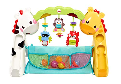 Fisher-Price - Gimnasio crece conmigo - gimasios bebe - (Mattel CCB70)