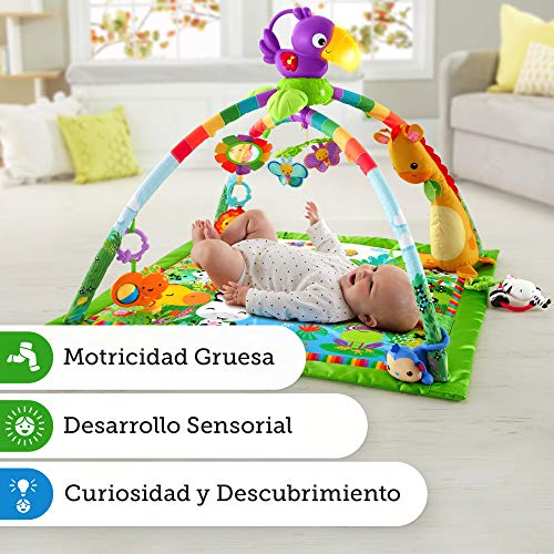 Fisher-Price - Gimnasio Deluxe Animalitos de la Selva, Manta de Juego Bebé (Mattel DFP08), Embalaje estándar Fisher-Price - Gimnasio Deluxe Animalitos de la Selva, Manta de Juego Bebé (Mattel DFP08), Embalaje estándar