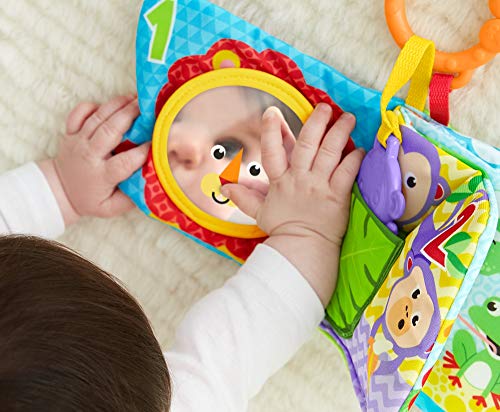 Fisher-Price Libro activity bebé, juguete para bebé recién nacido (Mattel FGJ40)