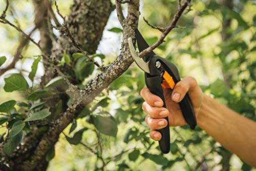 Fiskars Tijeras de podar, Cuchilla bypass, Ø de corte: 2,2 cm, Negro/Naranja, 1000567 Fiskars Tijeras de podar, Cuchilla bypass, Ø de corte: 2,2 cm, Negro/Naranja, 1000567