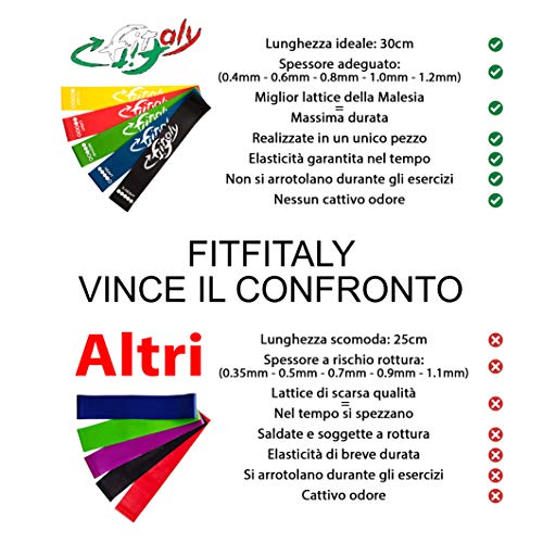 FitFitaly Bandas Elasticas Resistencia - 5 Gomas Fitness, PDF Guía De Ejercicios En Español