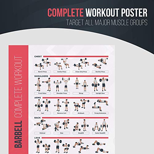 FitMate Barbell - Póster de ejercicio de rutina de entrenamiento con pesas libres, decoración de gimnasio en casa, guía de habitación (16.5 x 25 pulgadas)