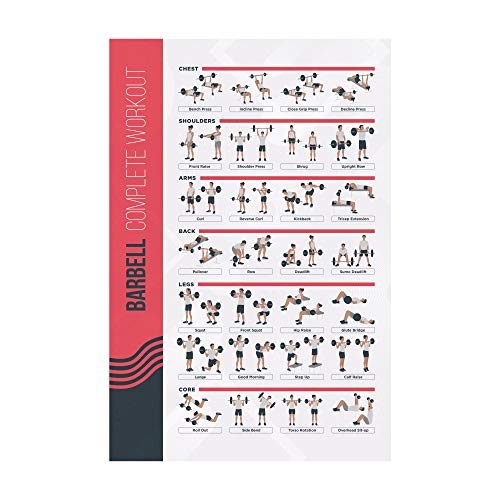 FitMate Barbell - Póster de ejercicio de rutina de entrenamiento con pesas libres, decoración de gimnasio en casa, guía de habitación (16.5 x 25 pulgadas)