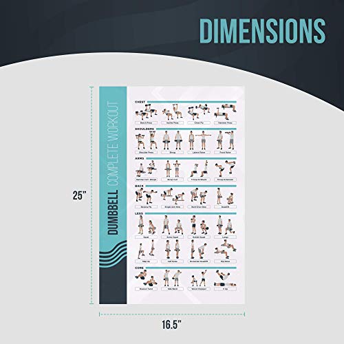 FitMate - Póster de ejercicio con mancuernas (50 x 30 cm) FitMate - Póster de ejercicio con mancuernas (50 x 30 cm)