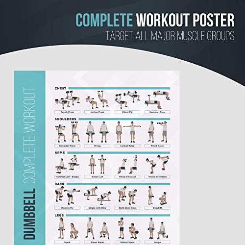 FitMate - Póster de ejercicio con mancuernas (50 x 30 cm)