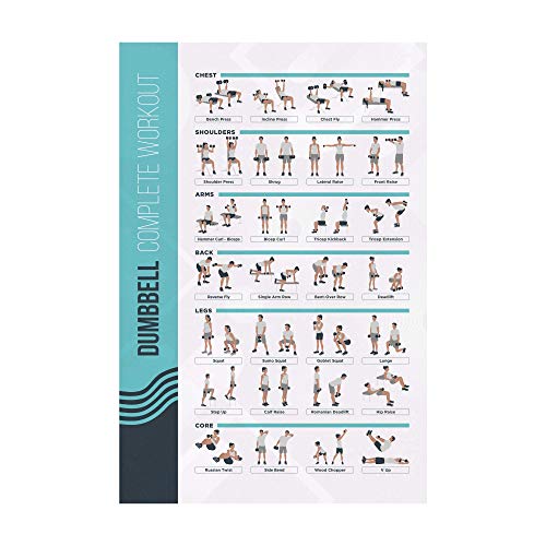 FitMate - Póster de ejercicio con mancuernas (50 x 30 cm)