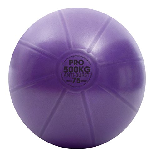Fitness-Mad Studio Pro - Pelota suiza, color morado, Talla:65cm Fitness-Mad Studio Pro - Pelota suiza, color morado, Talla:65cm