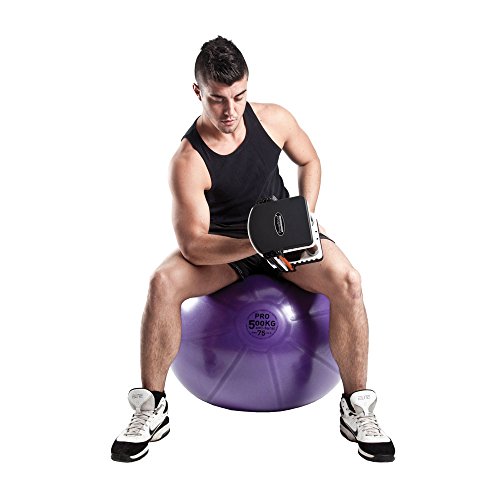 Fitness-Mad Studio Pro - Pelota suiza, color morado, Talla:65cm Fitness-Mad Studio Pro - Pelota suiza, color morado, Talla:65cm