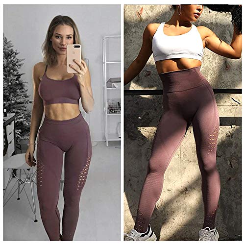 FITTOO Leggings Sin Costuras Corte de Malla Mujer Pantalon Deportivo Alta Cintura Yoga Elásticos Fitness Seamless #1 Morado Small