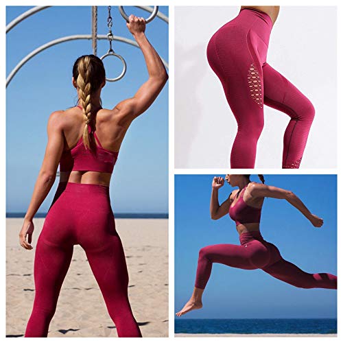 FITTOO Leggings Sin Costuras Corte de Malla Mujer Pantalon Deportivo Alta Cintura Yoga Elásticos Fitness Seamless #1 Rojo Small FITTOO Leggings Sin Costuras Corte de Malla Mujer Pantalon Deportivo Alta Cintura Yoga Elásticos Fitness Seamless #1 Rojo Small