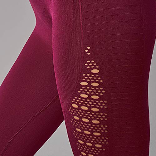 FITTOO Leggings Sin Costuras Corte de Malla Mujer Pantalon Deportivo Alta Cintura Yoga Elásticos Fitness Seamless #1 Rojo Small