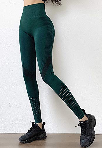 FITTOO Leggings Sin Costuras Corte de Malla Mujer Pantalon Deportivo Alta Cintura Yoga Elásticos Fitness Seamless #4 Verte Oscuro Small