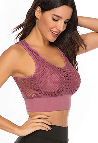 FITTOO Sujetador Deportivo Tops de Yoga Correr Gimnasio para Mujer 1690 Negro M FITTOO Sujetador Deportivo Tops de Yoga Correr Gimnasio para Mujer 1690 Negro M