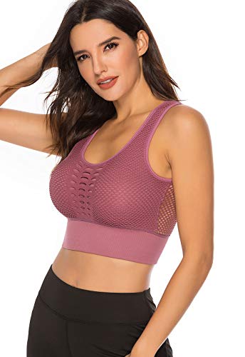 FITTOO Sujetador Deportivo Tops de Yoga Correr Gimnasio para Mujer 1690 Negro M FITTOO Sujetador Deportivo Tops de Yoga Correr Gimnasio para Mujer 1690 Negro M
