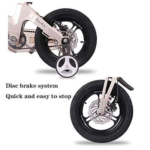 FJ-MC Bicicleta de niños 12", 14", 16", 18" para niños y niñas, Marco de aleación de magnesio con Doble Freno de Disco, Ruedas de Entrenamiento, para niños de 2 a 5 años,Pink,16 FJ-MC Bicicleta de niños 12", 14", 16", 18" para niños y niñas, Marco de aleación de magnesio con Doble Freno de Disco, Ruedas de Entrenamiento, para niños de 2 a 5 años,Pink,16