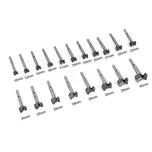 flintronic Brocas Forstner, 19PCS (15mm ~ 40mm) Brocas Set de Acero al Tungsteno Titanium Recubierto, Fresadora Herramienta para Perforadora, Corte Agujero en Carpintería para Madera flintronic Brocas Forstner, 19PCS (15mm ~ 40mm) Brocas Set de Acero al Tungsteno Titanium Recubierto, Fresadora Herramienta para Perforadora, Corte Agujero en Carpintería para Madera