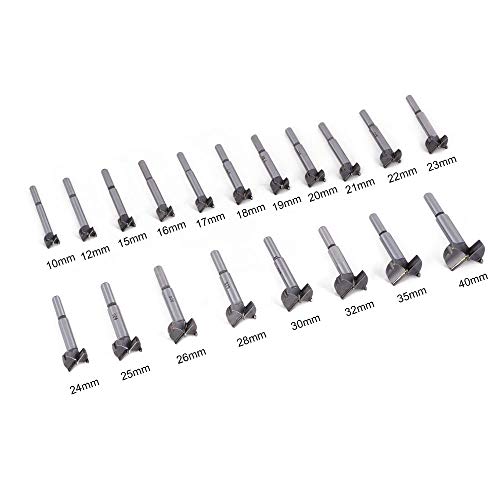 flintronic Brocas Forstner, 19PCS (15mm ~ 40mm) Brocas Set de Acero al Tungsteno Titanium Recubierto, Fresadora Herramienta para Perforadora, Corte Agujero en Carpintería para Madera