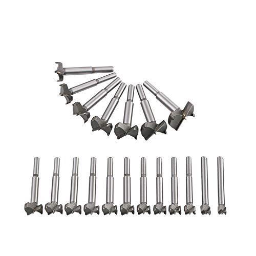 flintronic Brocas Forstner, 19PCS (15mm ~ 40mm) Brocas Set de Acero al Tungsteno Titanium Recubierto, Fresadora Herramienta para Perforadora, Corte Agujero en Carpintería para Madera flintronic Brocas Forstner, 19PCS (15mm ~ 40mm) Brocas Set de Acero al Tungsteno Titanium Recubierto, Fresadora Herramienta para Perforadora, Corte Agujero en Carpintería para Madera