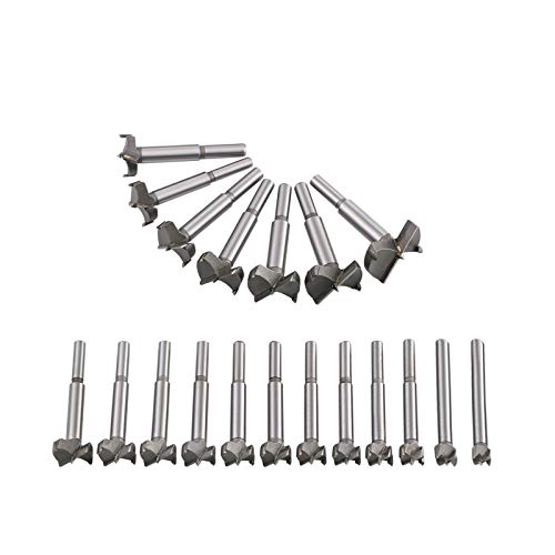 flintronic Brocas Forstner, 19PCS (15mm ~ 40mm) Brocas Set de Acero al Tungsteno Titanium Recubierto, Fresadora Herramienta para Perforadora, Corte Agujero en Carpintería para Madera