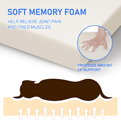 Focuspet Cama Perro Ortopédica, Cama para Perros Colchoneta de Espuma Viscoelástica para Mascotas con Funda Extraíble y Lavable para Perros, Incluye Juguete para Masticar,Tamaño M:74x46x7.5cm