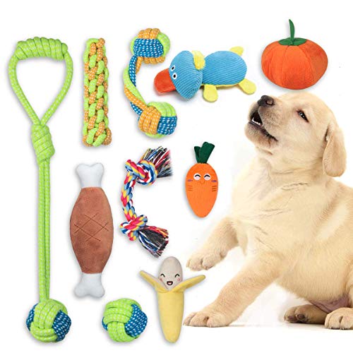 FONPOO Juguetes Perro,Hecho de La Correa de Perro de Frutas y Verduras Reducir el Aburrimiento del Perro y Masajear la Salud de Las Encías PelucheJjuego de 10 Piezas para Regalo de Perro