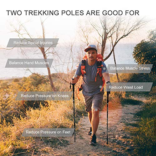 ForceattBastón de Trekking, Dos Bastones de Trekking Plegables Que absorben los Golpes, aleación de Aluminio 7075 Ligera y Duradera, Mango de EVA, Longitud Ajustable, Adecuado para Uso en Exteriores ForceattBastón de Trekking, Dos Bastones de Trekking Plegables Que absorben los Golpes, aleación de Aluminio 7075 Ligera y Duradera, Mango de EVA, Longitud Ajustable, Adecuado para Uso en Exteriores