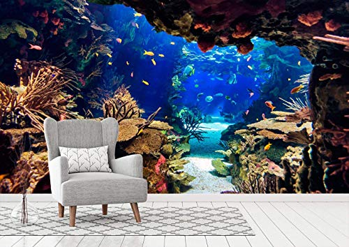 Fotomural Vinilo para Pared Fondo Marino| Fotomural para Paredes | Mural | Vinilo Decorativo | Varias Medidas 200 x 150 cm | Decoración comedores, Salones, Habitaciones. Fotomural Vinilo para Pared Fondo Marino| Fotomural para Paredes | Mural | Vinilo Decorativo | Varias Medidas 200 x 150 cm | Decoración comedores, Salones, Habitaciones.