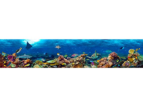 Fotomural Vinilo Pared Corales y Especies Fondo Marino | Fotomural para Paredes | Mural | Vinilo Decorativo | Varias Medidas 200 x 150 cm | Decoración comedores, Salones, Habitaciones.