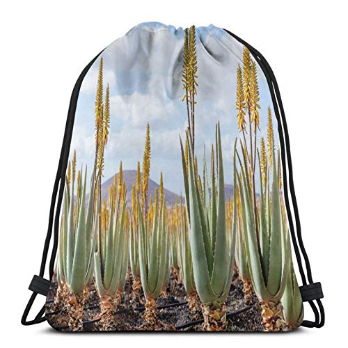 Fuliya Gym Drawstring Bags Backpack,Photo From Aloe Vera Plantation Medicinal Leaves Remedy Fuerteventura Canary Islands,Unisex Drawstring Backpack