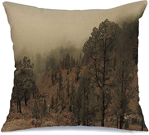 Funda de almohada Bush Niebla Bosques Montañas Naturaleza Escalada Parques Tenerife Pendiente Teide Valle Árbol Cono Planta Exterior Lanzamiento Cómodo Cojín Funda para silla de coche Sofá Cama 45x45