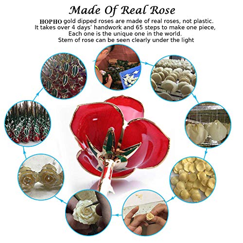 FUNINGEEK rosa oro 24k, regalo para madres Rosa Eterna Flore, rosa de oro regalo para Esposa o Mom de Navidad, San Valentí, Día de la Madre, Aniversario, Cumpleaños (Rosa Rojo)