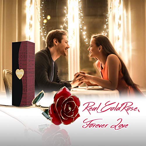 FUNINGEEK rosa oro 24k, regalo para madres Rosa Eterna Flore, rosa de oro regalo para Esposa o Mom de Navidad, San Valentí, Día de la Madre, Aniversario, Cumpleaños (Rosa Rojo)