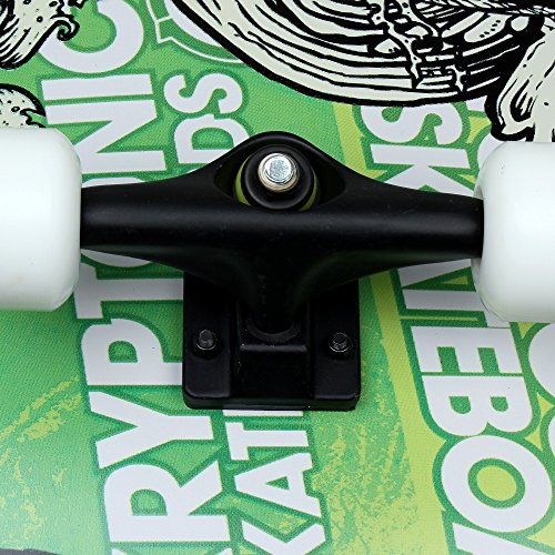 FunTomia® Skateboard monopatín rodamientos Mach1® y Rodillos de dureza 100A - Hecho con 7 Capas de Madera 100% Arce Canadiense (Verde/cráneo) FunTomia® Skateboard monopatín rodamientos Mach1® y Rodillos de dureza 100A - Hecho con 7 Capas de Madera 100% Arce Canadiense (Verde/cráneo)