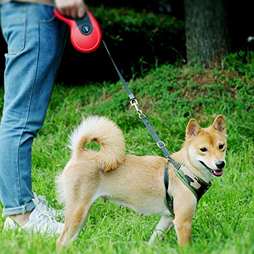 Galaxer Correa para Perros, 5M Mascota Correa Retractil de Nylon para Perro Correa Extensible con un Botón de Rotura y Bloqueo y Cómodo Agarre de la Man para Entrenar a Pie o Trotar