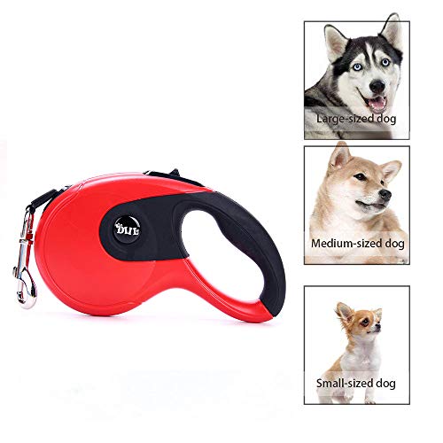 Galaxer Correa para Perros, 5M Mascota Correa Retractil de Nylon para Perro Correa Extensible con un Botón de Rotura y Bloqueo y Cómodo Agarre de la Man para Entrenar a Pie o Trotar Galaxer Correa para Perros, 5M Mascota Correa Retractil de Nylon para Perro Correa Extensible con un Botón de Rotura y Bloqueo y Cómodo Agarre de la Man para Entrenar a Pie o Trotar