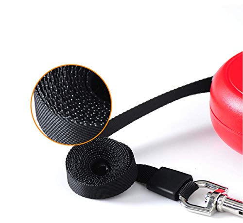 Galaxer Correa para Perros, 5M Mascota Correa Retractil de Nylon para Perro Correa Extensible con un Botón de Rotura y Bloqueo y Cómodo Agarre de la Man para Entrenar a Pie o Trotar Galaxer Correa para Perros, 5M Mascota Correa Retractil de Nylon para Perro Correa Extensible con un Botón de Rotura y Bloqueo y Cómodo Agarre de la Man para Entrenar a Pie o Trotar