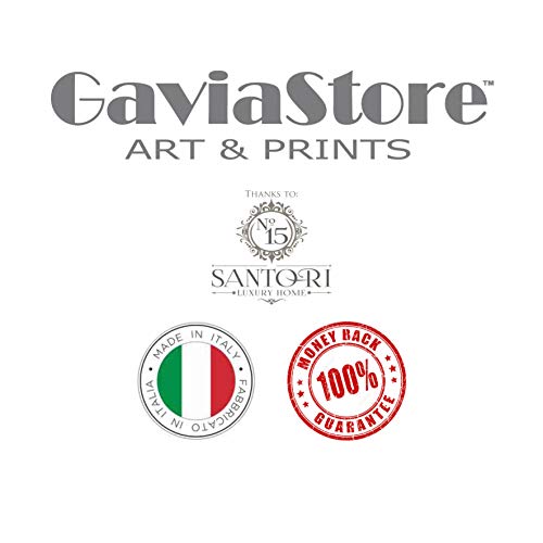 GaviaStore Art Prints - Fotografía con Marco - 70x50 cm - Cuadros Pintura Cartel Foto Mueble Art hogar impresión decoración casa Sala Poster Cuadro Imagen Enmarcad Wall Art Picture (Gaviota)