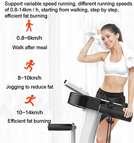 GAYBJ Cintas de Correr Cinta de Correr Profesional, Hogar caminadora, La pérdida de Peso de la Aptitud Equipo del Ejercicio Función de Inicio Plegable GAYBJ Cintas de Correr Cinta de Correr Profesional, Hogar caminadora, La pérdida de Peso de la Aptitud Equipo del Ejercicio Función de Inicio Plegable