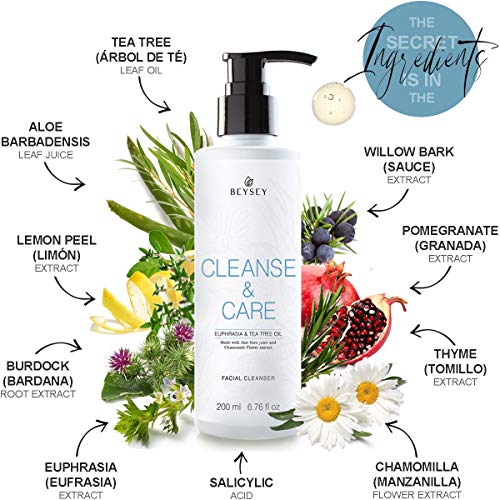 Gel Limpiador Facial con Aloe Vera, Árbol de Té, Eufrasia y Manzanilla- Jabón Facial Desmaquillante/Antibacteriano/Anti Acné - Cara y Rostro/Pieles Mixtas y Grasas - CLEANSE&CARE Beysey 200ml