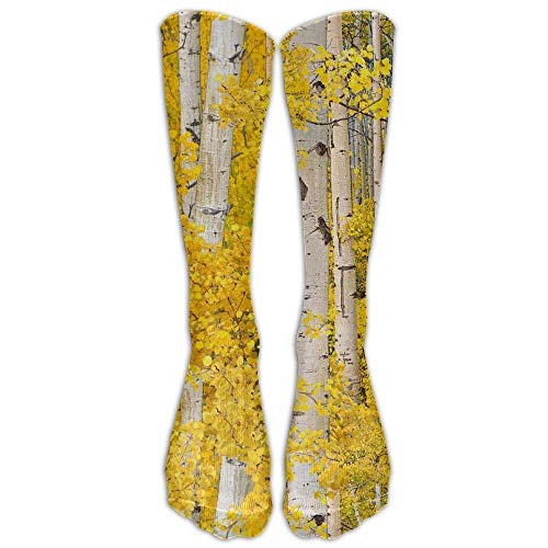 gfhfdjhf Fall Birch Tree Athletic Tube Stockings Women's Men's Classics Knee High Socks Sport Long Sock One Size