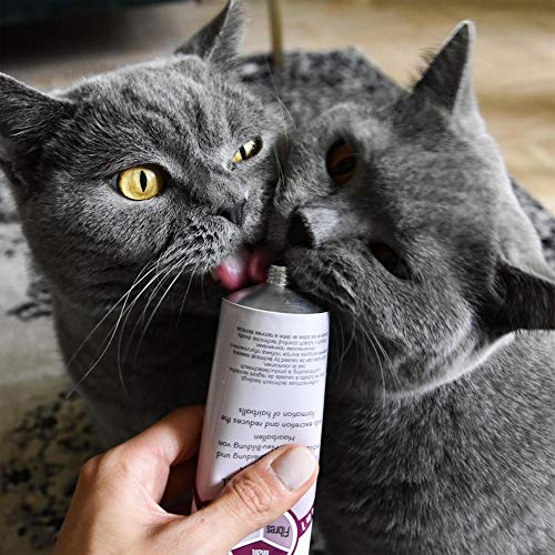 GimCat Malt-Soft Extra, pasta con malta- Anti-Hairball snack para gatos favorece la excreción de bolas de pelo (1 x 200 g)
