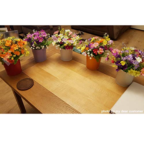 GIOVARA Maceta de Metal Colgante Florero con Soporte Extraíble para Balcón Jardín Patio Cubo Macetero Plantador con Orificio de Drenaje (10 macetas Surtido de 10 Colores) GIOVARA Maceta de Metal Colgante Florero con Soporte Extraíble para Balcón Jardín Patio Cubo Macetero Plantador con Orificio de Drenaje (10 macetas Surtido de 10 Colores)