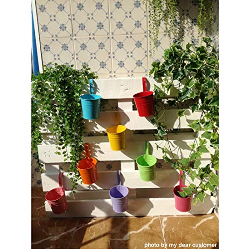 GIOVARA Maceta de Metal Colgante Florero con Soporte Extraíble para Balcón Jardín Patio Cubo Macetero Plantador con Orificio de Drenaje (10 macetas Surtido de 10 Colores) GIOVARA Maceta de Metal Colgante Florero con Soporte Extraíble para Balcón Jardín Patio Cubo Macetero Plantador con Orificio de Drenaje (10 macetas Surtido de 10 Colores)
