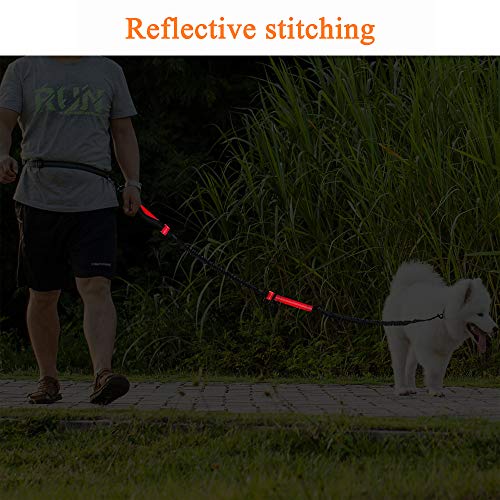 GLEADING Correa Retráctil para Usar Manos Libres para Perros con Doble Cuerda Elástica para Perros, Cinturón Ajustable, Correa de Costura Reflectante para Correr Caminar Pasear Trotar Andar Bicicleta