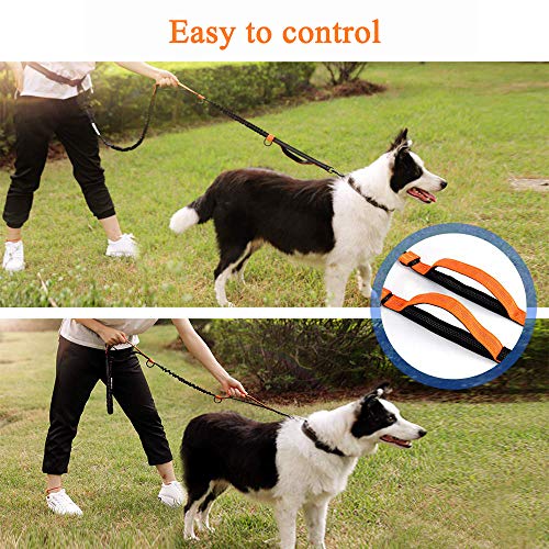 GLEADING Correa Retráctil para Usar Manos Libres para Perros con Doble Cuerda Elástica para Perros, Cinturón Ajustable, Correa de Costura Reflectante para Correr Caminar Pasear Trotar Andar Bicicleta GLEADING Correa Retráctil para Usar Manos Libres para Perros con Doble Cuerda Elástica para Perros, Cinturón Ajustable, Correa de Costura Reflectante para Correr Caminar Pasear Trotar Andar Bicicleta