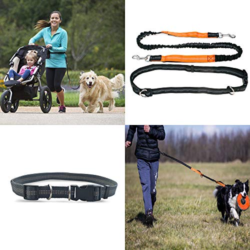 GLEADING Correa Retráctil para Usar Manos Libres para Perros con Doble Cuerda Elástica para Perros, Cinturón Ajustable, Correa de Costura Reflectante para Correr Caminar Pasear Trotar Andar Bicicleta