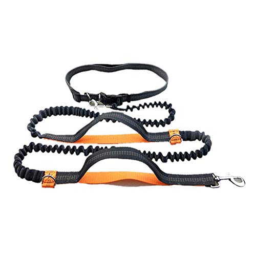 GLEADING Correa Retráctil para Usar Manos Libres para Perros con Doble Cuerda Elástica para Perros, Cinturón Ajustable, Correa de Costura Reflectante para Correr Caminar Pasear Trotar Andar Bicicleta GLEADING Correa Retráctil para Usar Manos Libres para Perros con Doble Cuerda Elástica para Perros, Cinturón Ajustable, Correa de Costura Reflectante para Correr Caminar Pasear Trotar Andar Bicicleta