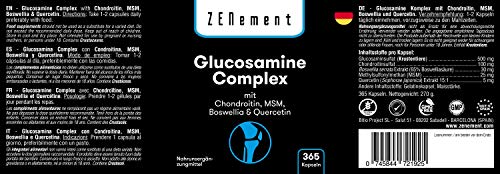 Glucosamina Complex con Condroitina, MSM, Boswellia y Quercetina, 365 Cápsulas | Para el dolor en las articulaciones | No-GMO, GMP, sin aditivos, sin Gluten | de Zenement