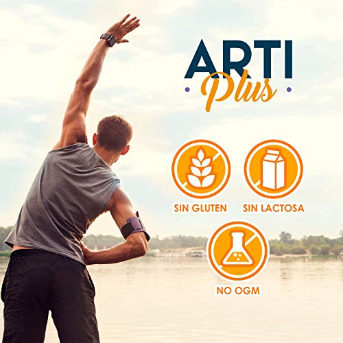 Glucosamina + Condroitina + Boswellia | Potente antiinflamatorio y analgésico | Elimina dolores musculares y articulares eficazmente | Protege y regenera articulaciones y cartílagos | 120 cápsulas